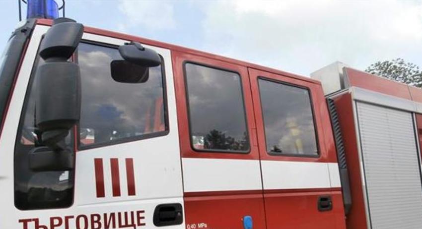 Пожарникари спасиха 50 декара смесена гора и 300 декара с посеви