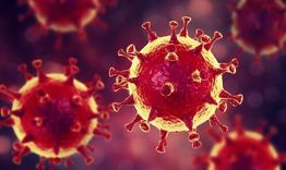 22 са новите случаи на COVID-19 в област Търговище