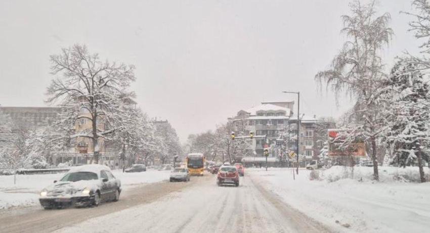 Продължава почистването на общинската пътна мрежа в Търговище