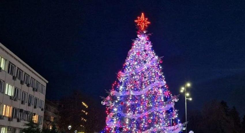 Градската елха в Търговище грейва на 5 декември