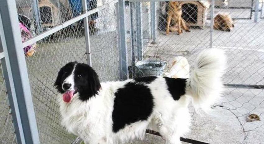 Започва регистрация за киноложката изложба в рамките на пролетния панаир