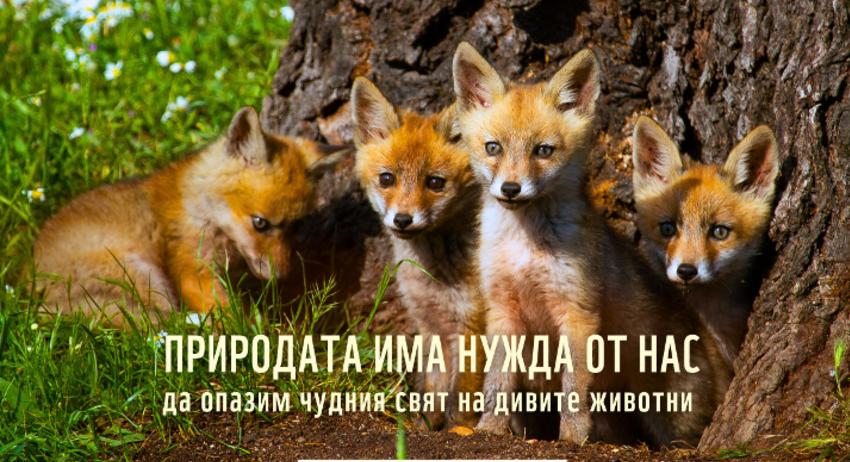 Община Търговище се включва в екоинициативата „Часът на Земята“