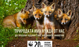 Община Търговище се включва в екоинициативата „Часът на Земята“